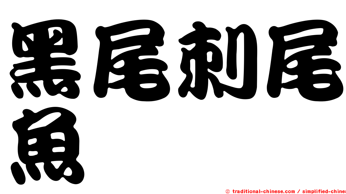 黑尾刺尾魚