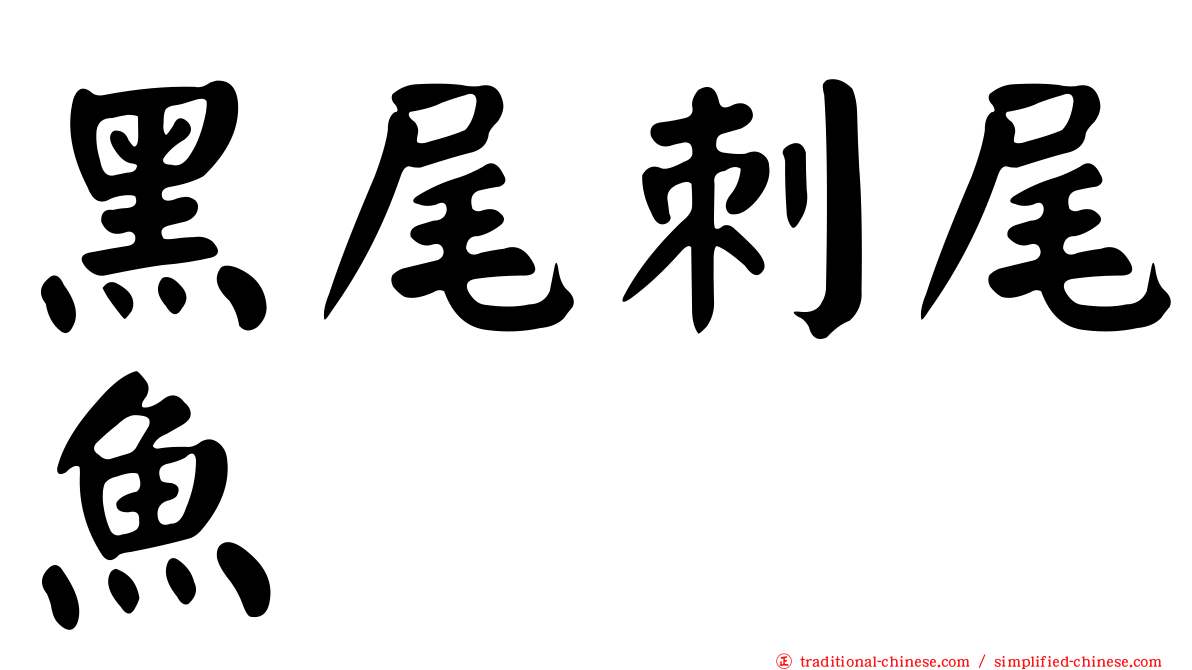 黑尾刺尾魚