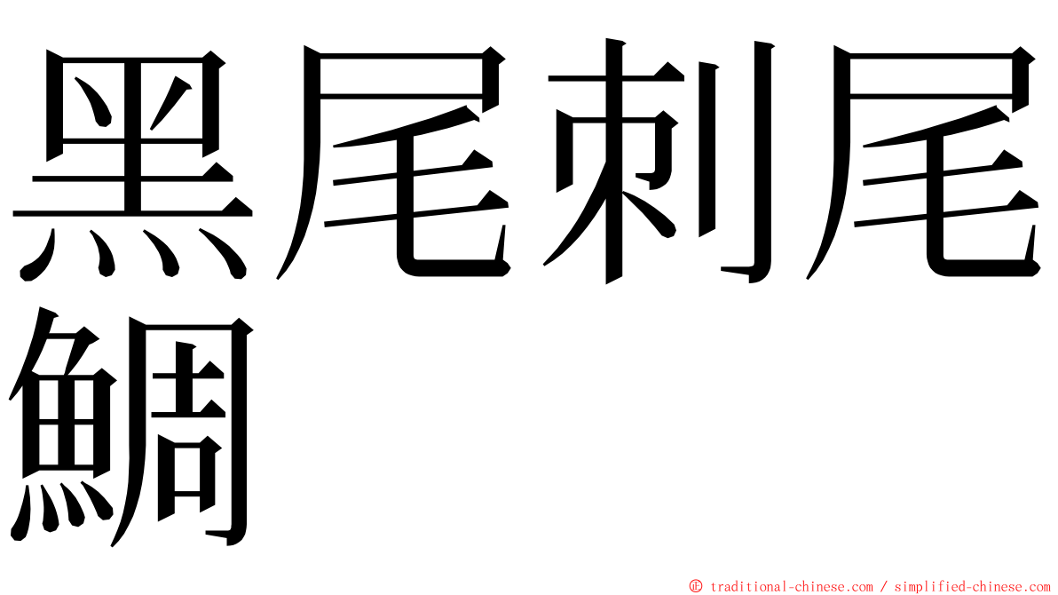 黑尾刺尾鯛 ming font