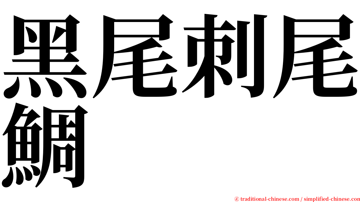 黑尾刺尾鯛 serif font