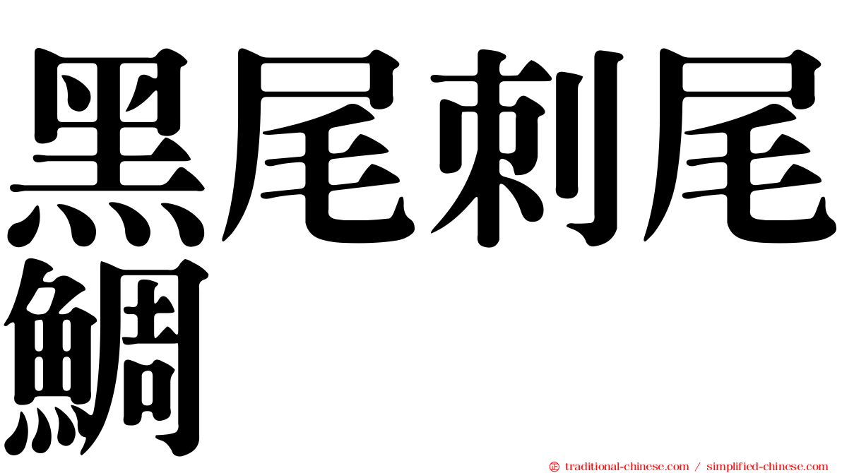 黑尾刺尾鯛