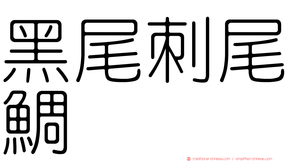黑尾刺尾鯛
