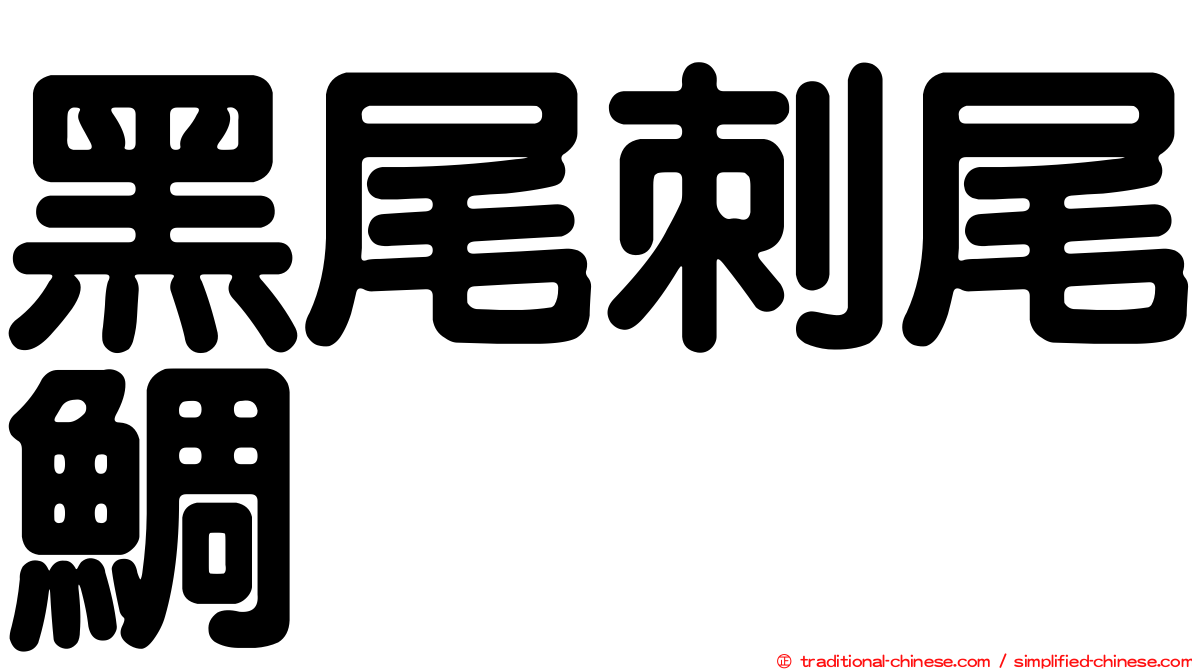 黑尾刺尾鯛
