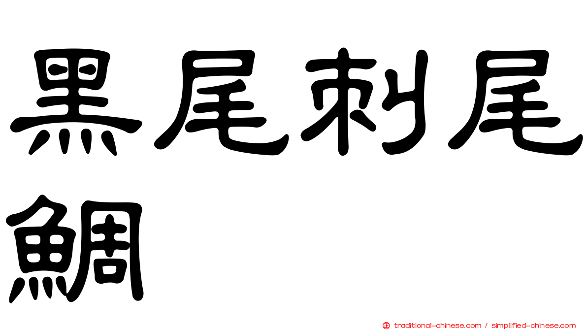 黑尾刺尾鯛