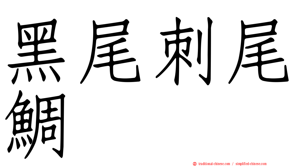 黑尾刺尾鯛