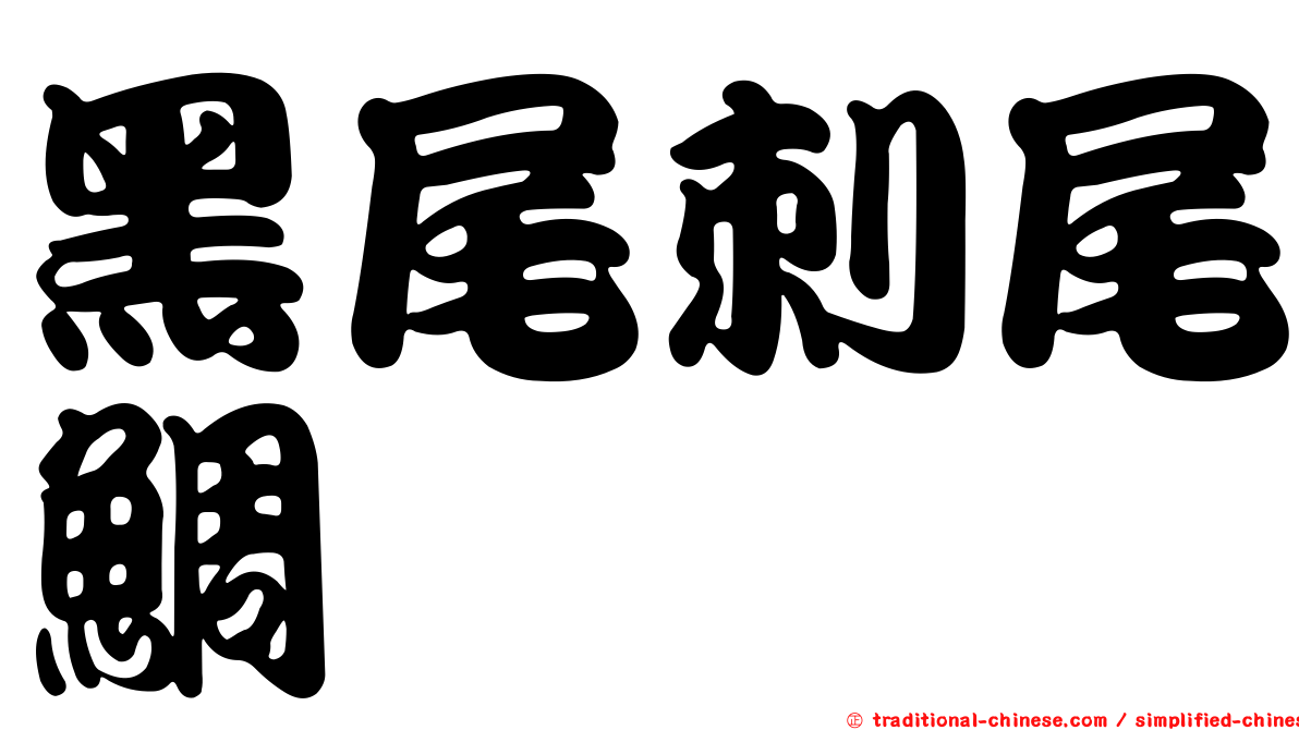 黑尾刺尾鯛