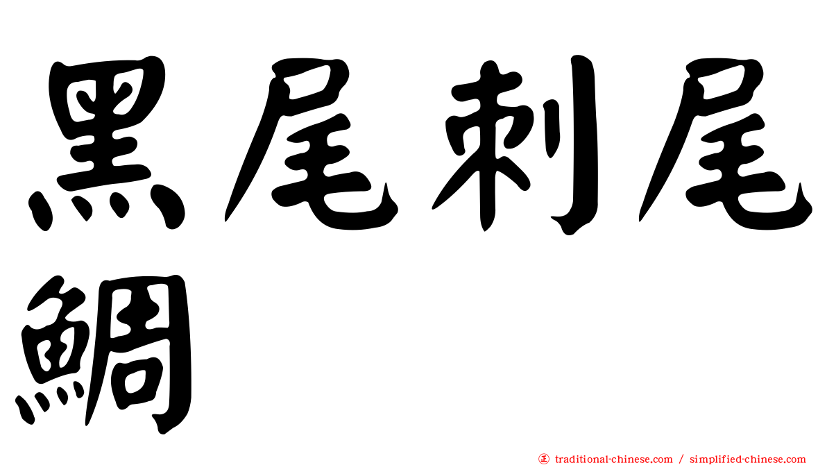 黑尾刺尾鯛