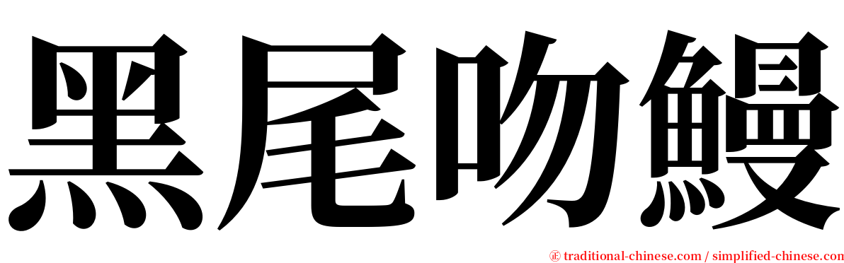 黑尾吻鰻 serif font