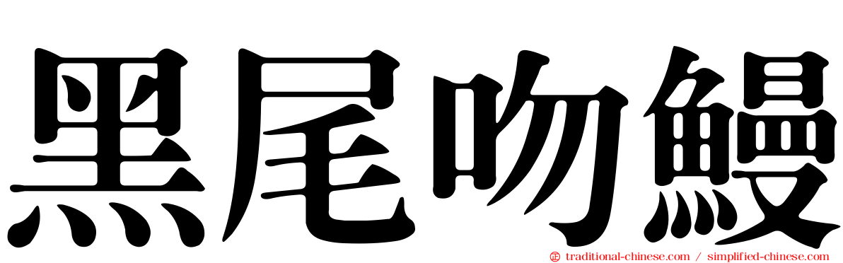 黑尾吻鰻