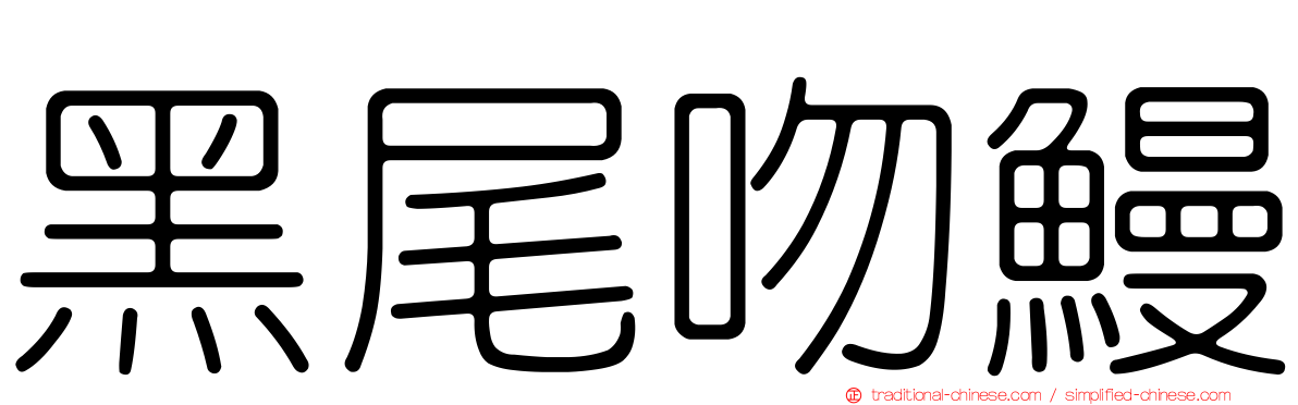 黑尾吻鰻