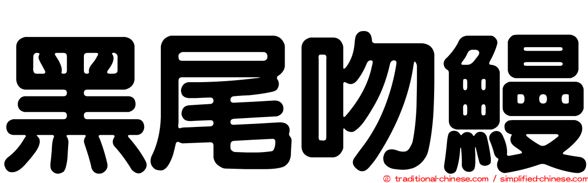 黑尾吻鰻