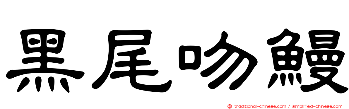 黑尾吻鰻