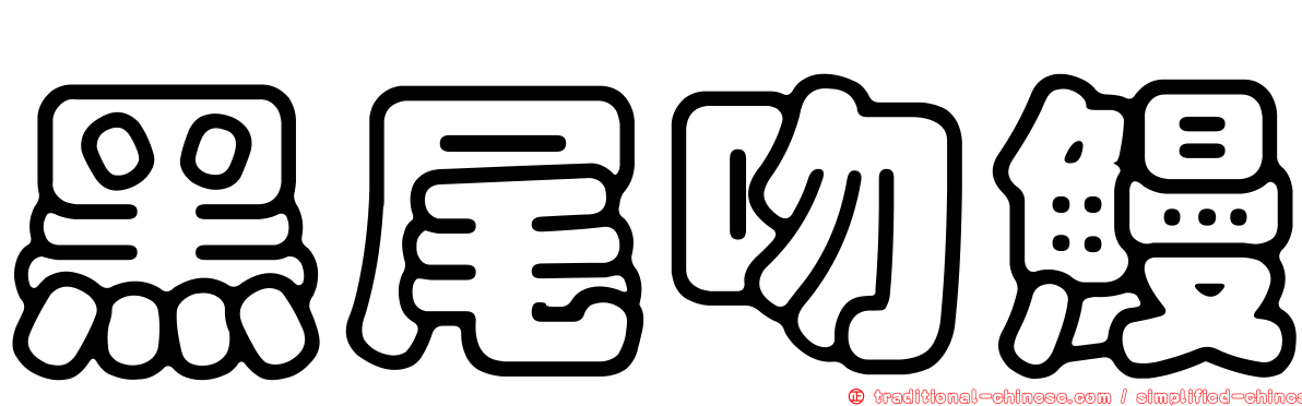黑尾吻鰻