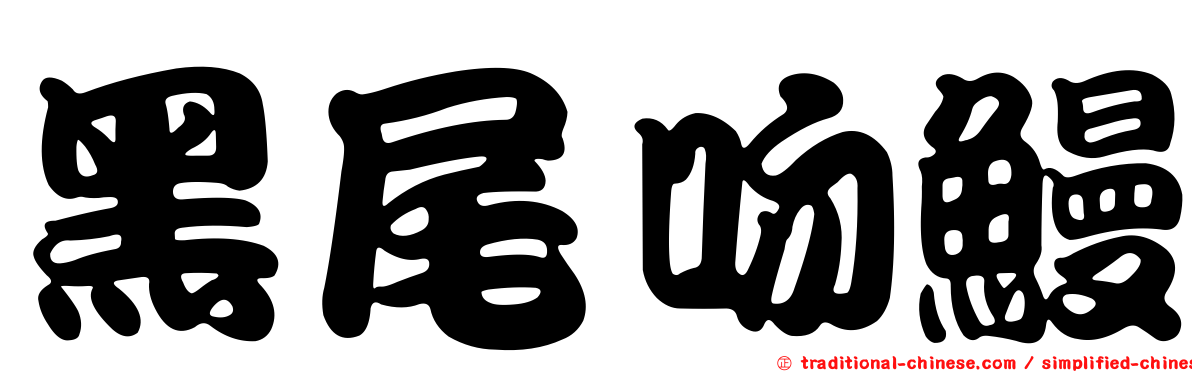 黑尾吻鰻