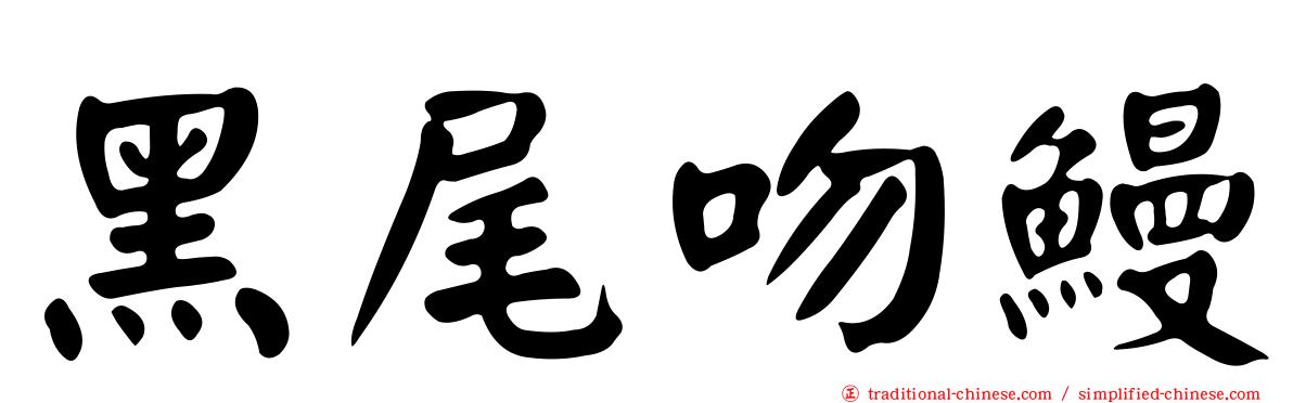 黑尾吻鰻