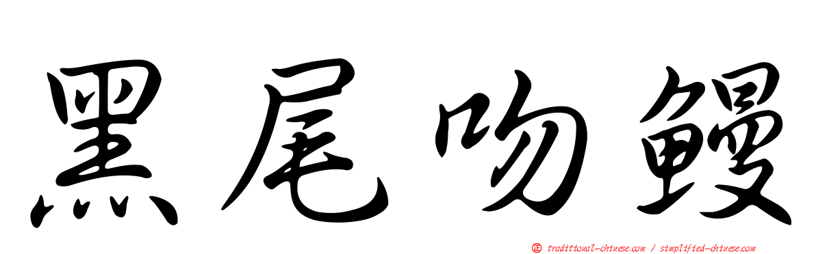 黑尾吻鰻