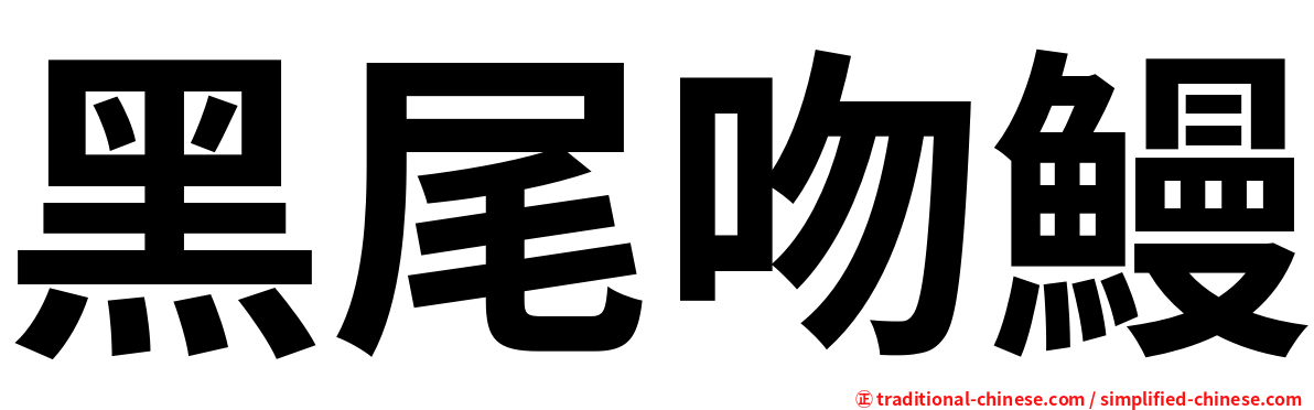 黑尾吻鰻