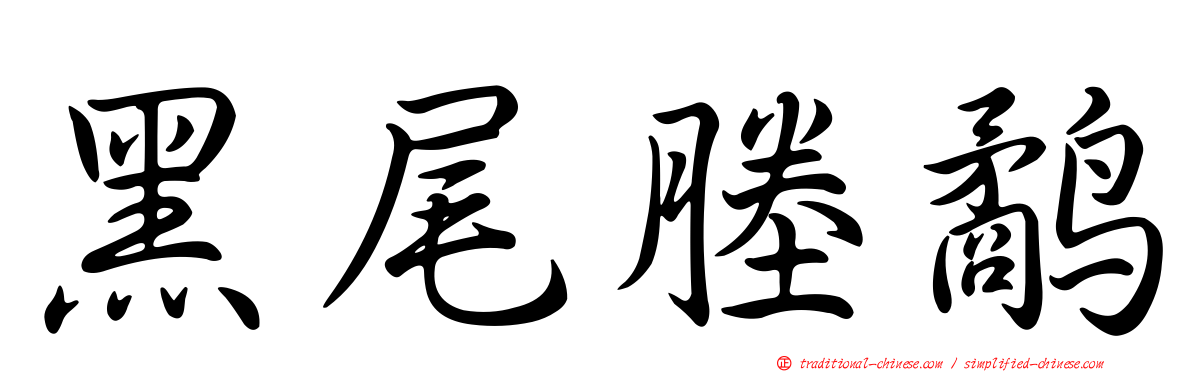 黑尾塍鷸