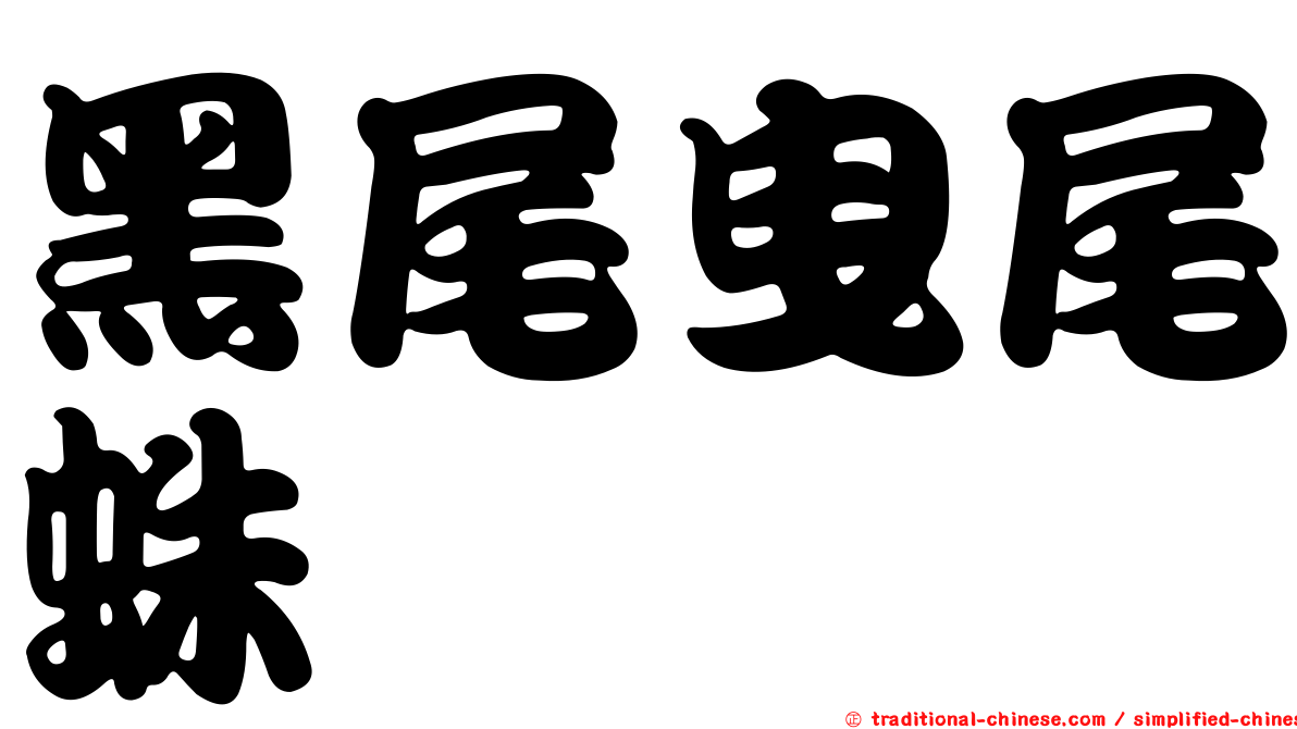 黑尾曳尾蛛
