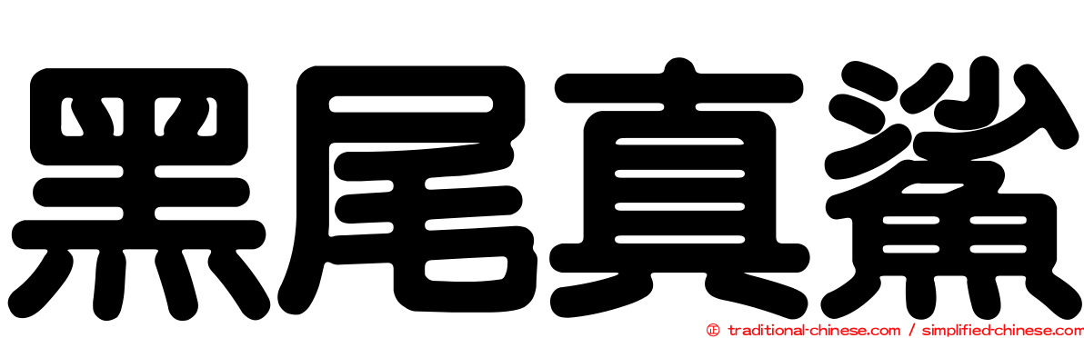 黑尾真鯊