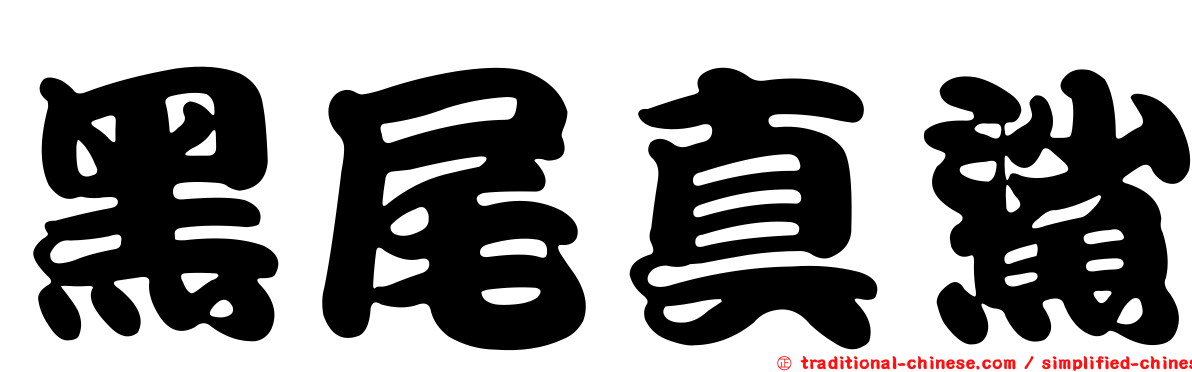 黑尾真鯊