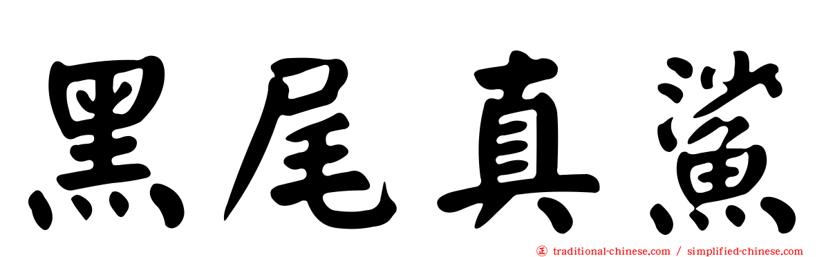 黑尾真鯊