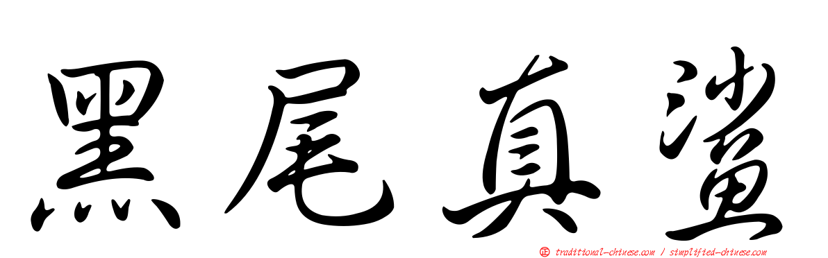 黑尾真鯊