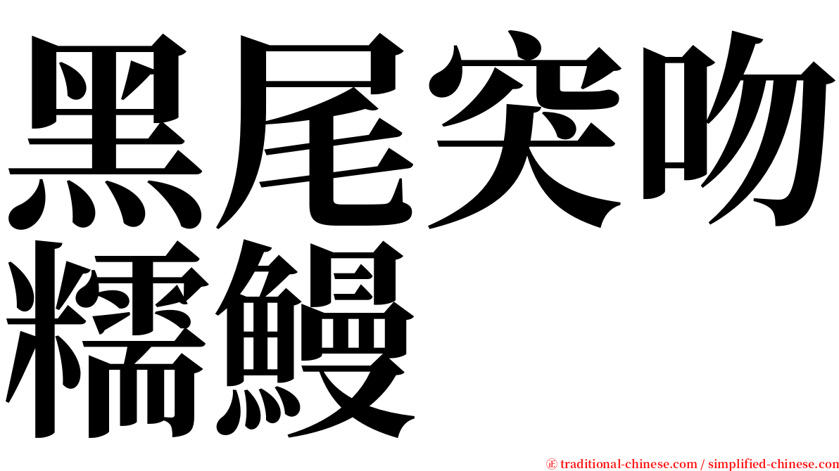 黑尾突吻糯鰻 serif font