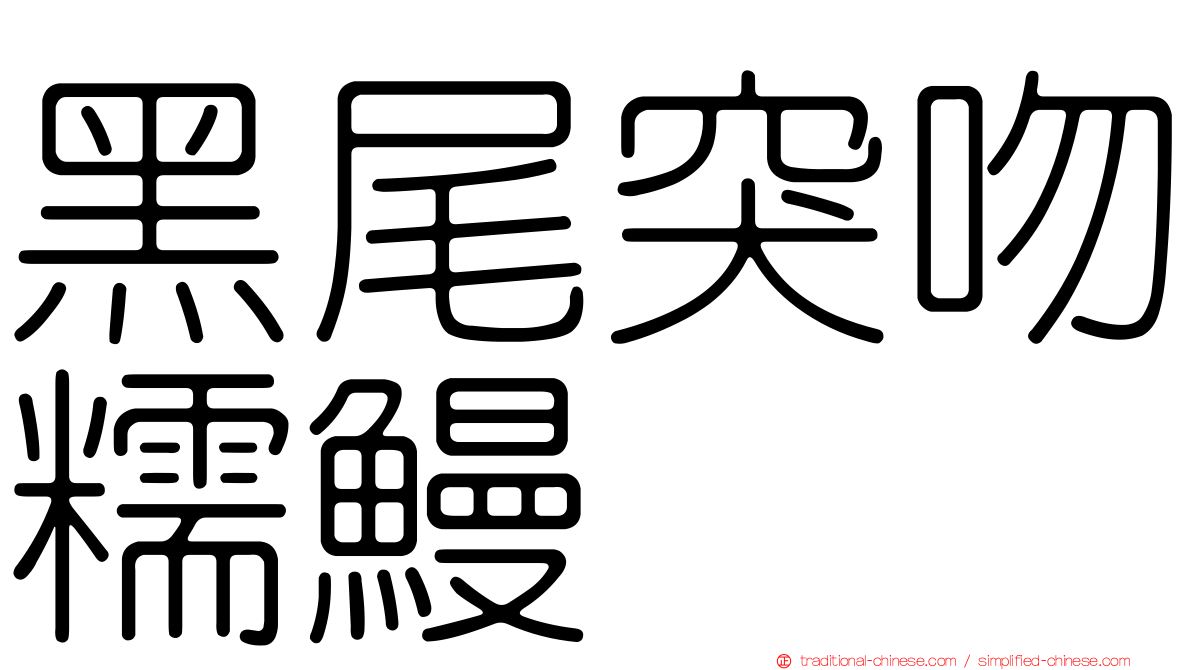 黑尾突吻糯鰻