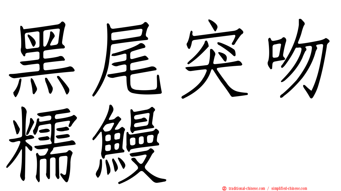 黑尾突吻糯鰻