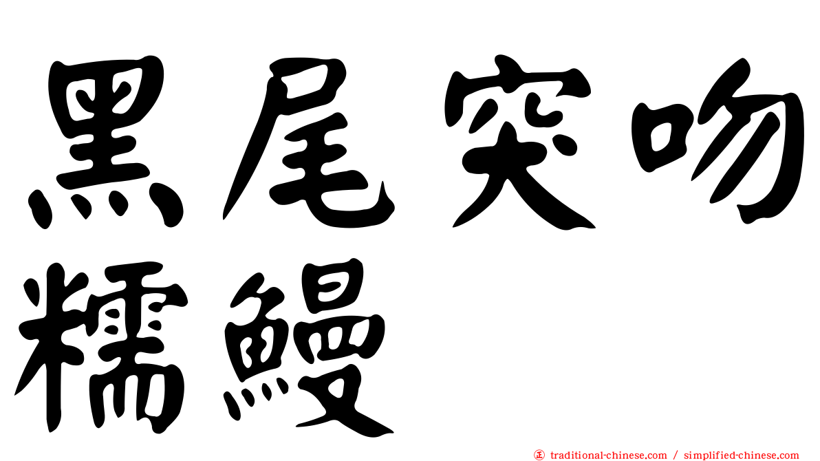黑尾突吻糯鰻