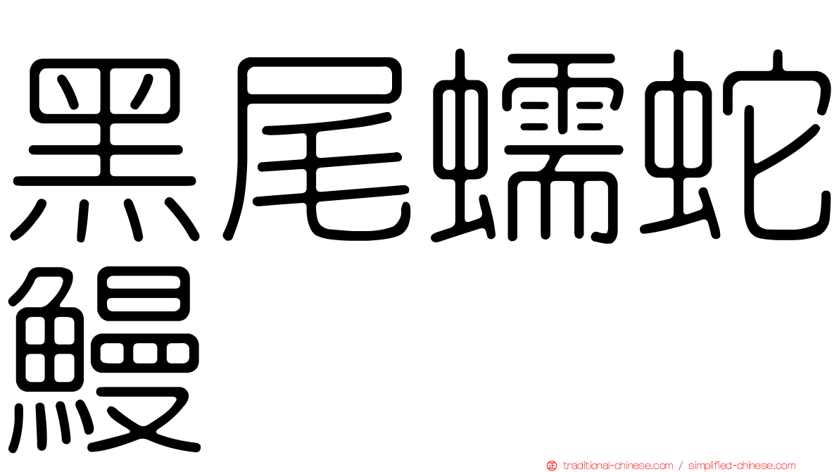 黑尾蠕蛇鰻