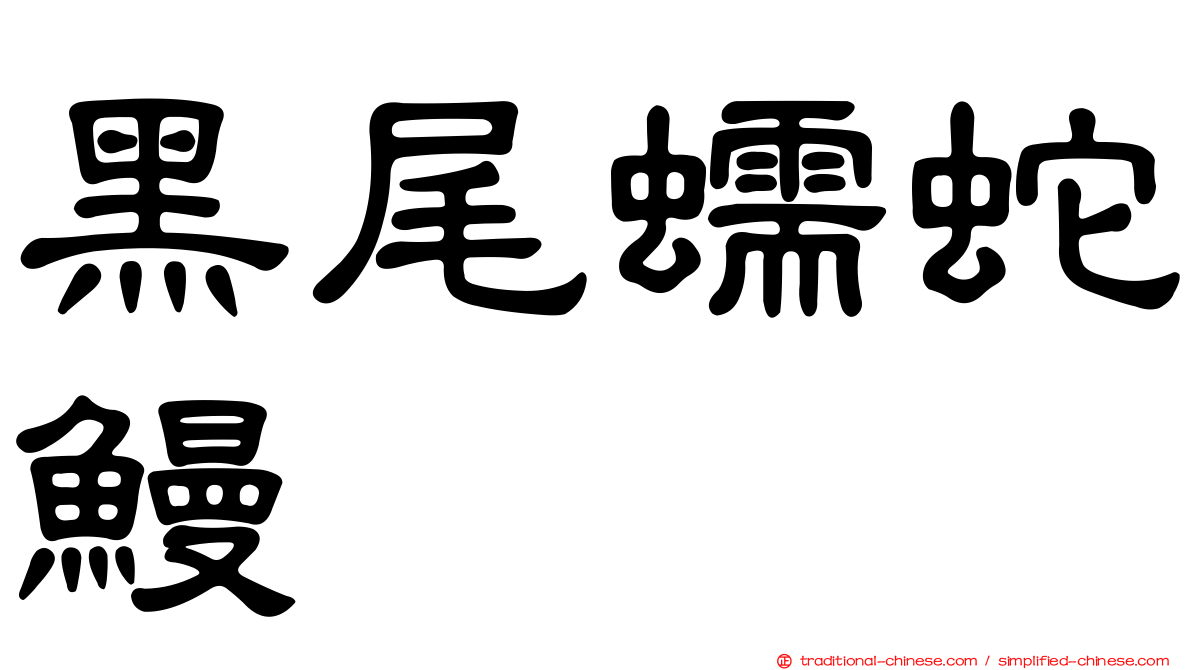 黑尾蠕蛇鰻