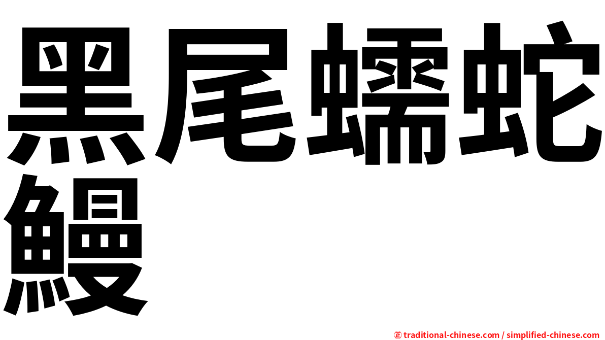 黑尾蠕蛇鰻