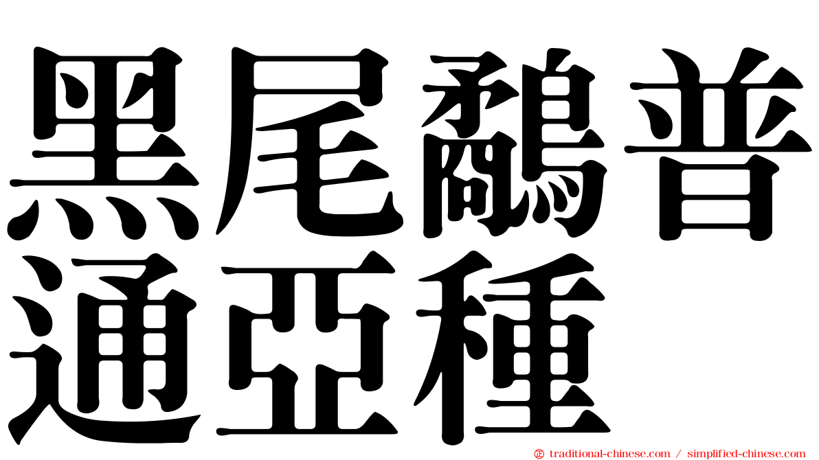 黑尾鷸普通亞種