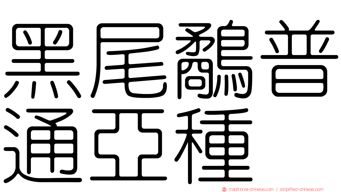黑尾鷸普通亞種