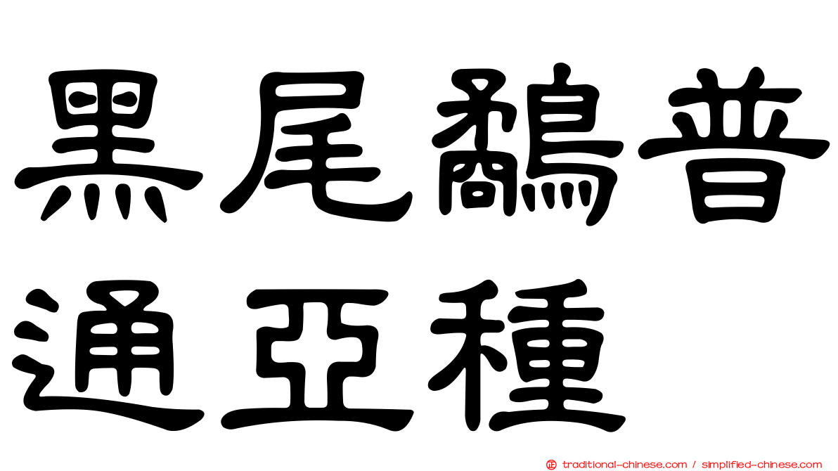 黑尾鷸普通亞種