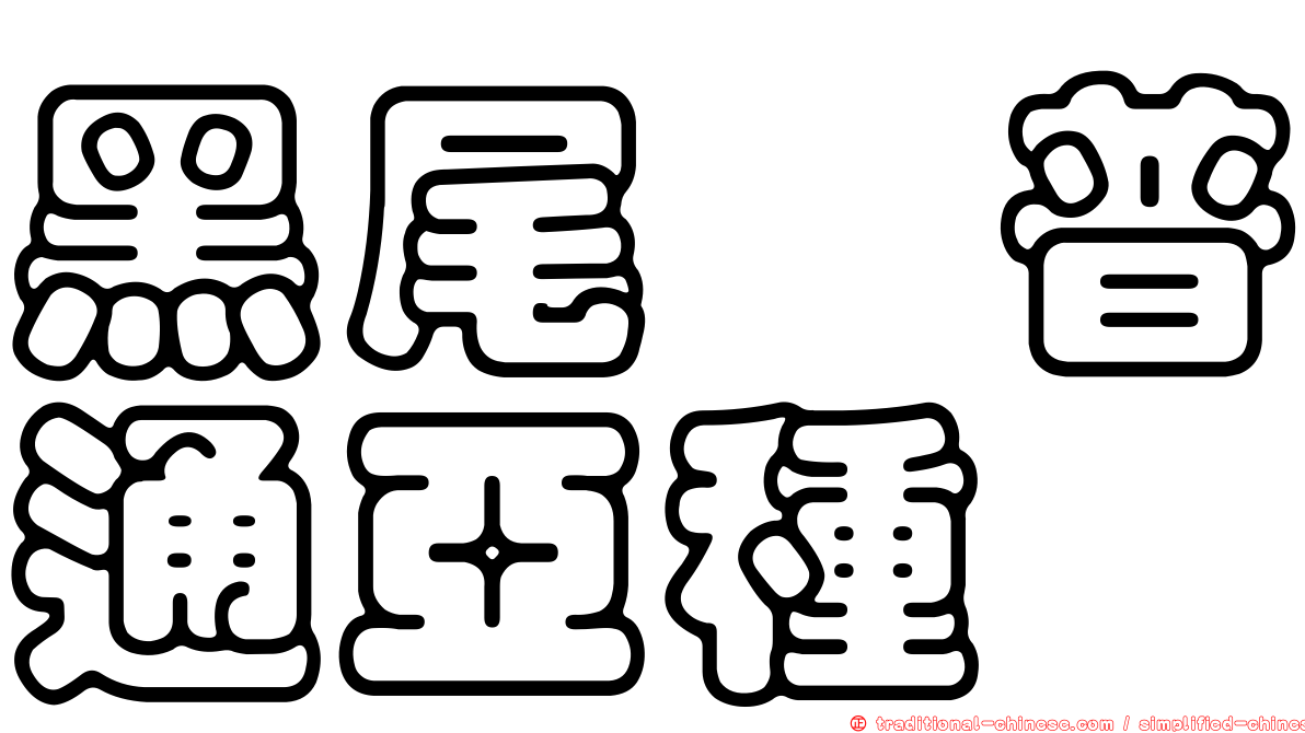 黑尾鷸普通亞種