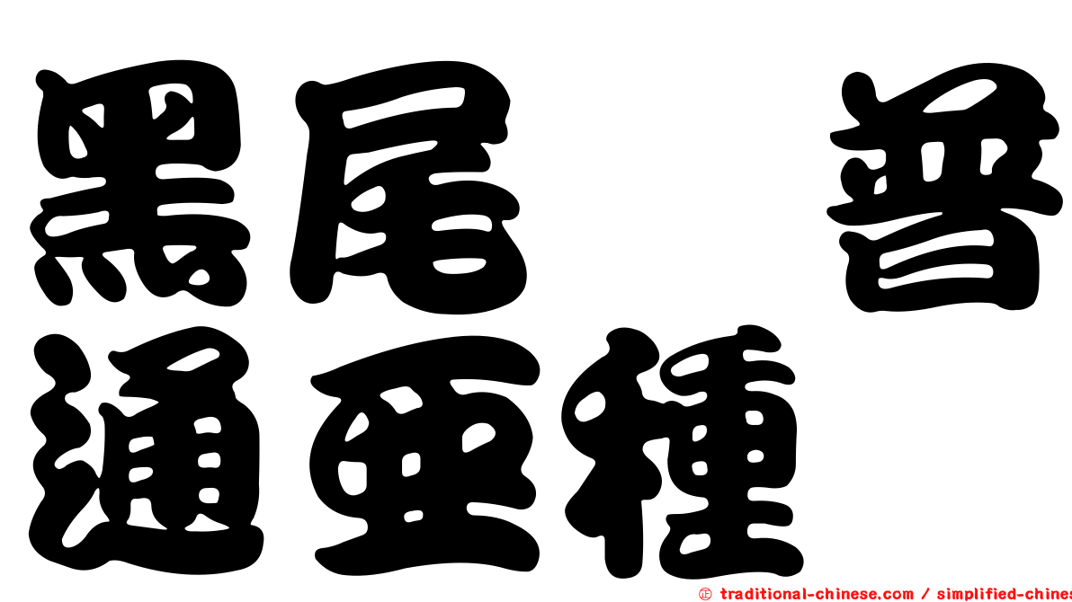 黑尾鷸普通亞種