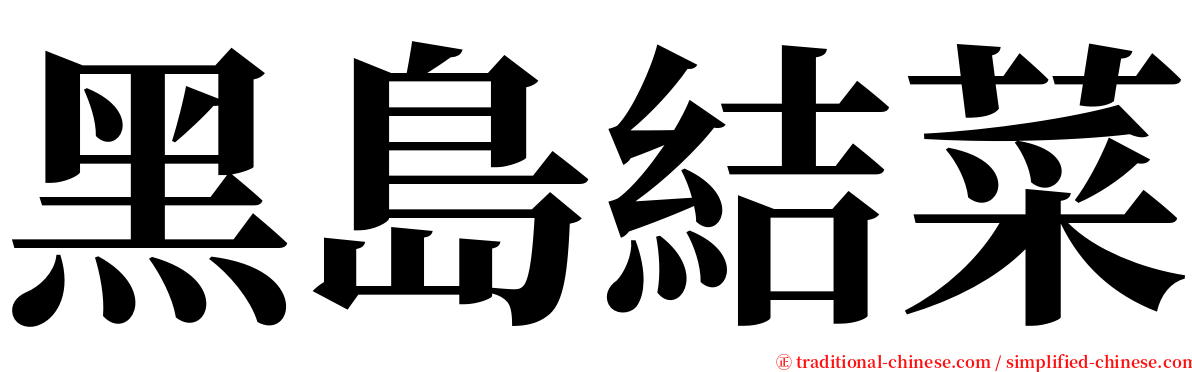 黑島結菜 serif font