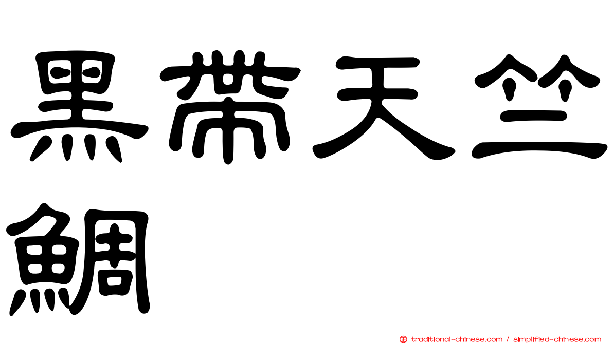黑帶天竺鯛