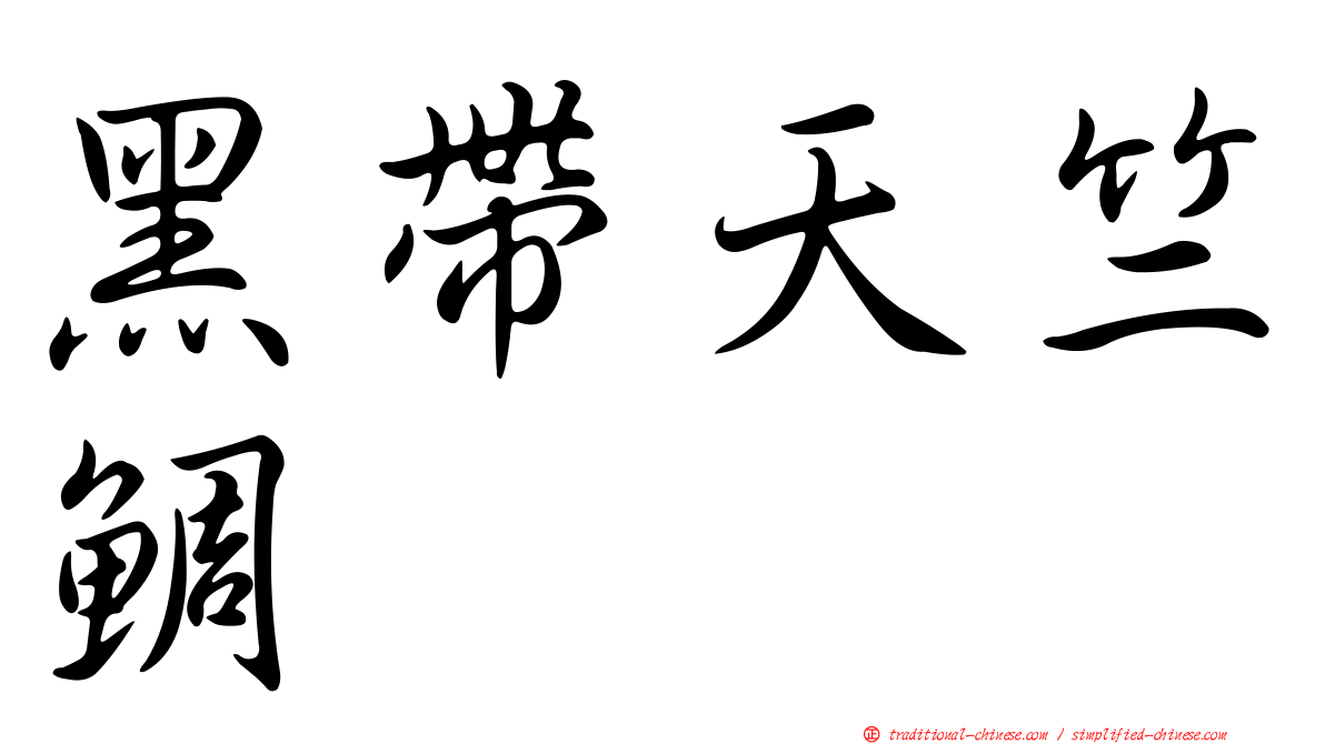 黑帶天竺鯛