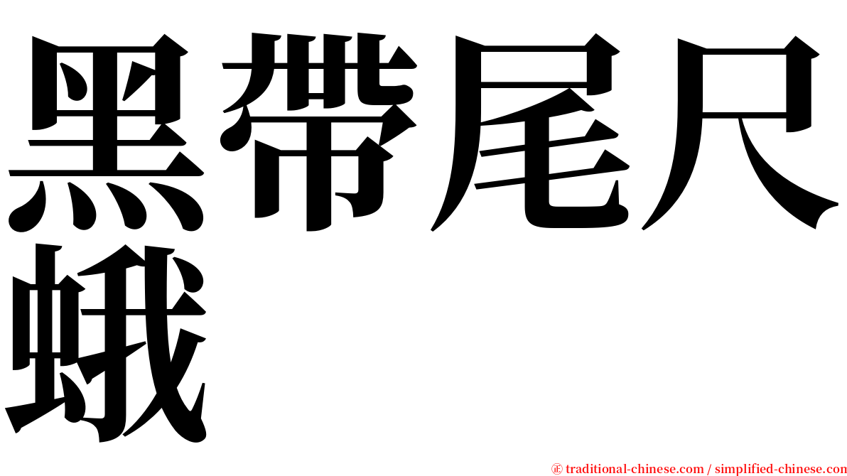黑帶尾尺蛾 serif font