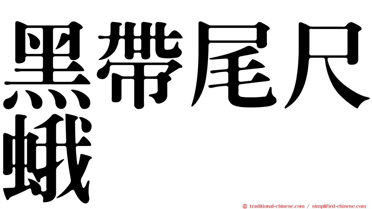 黑帶尾尺蛾