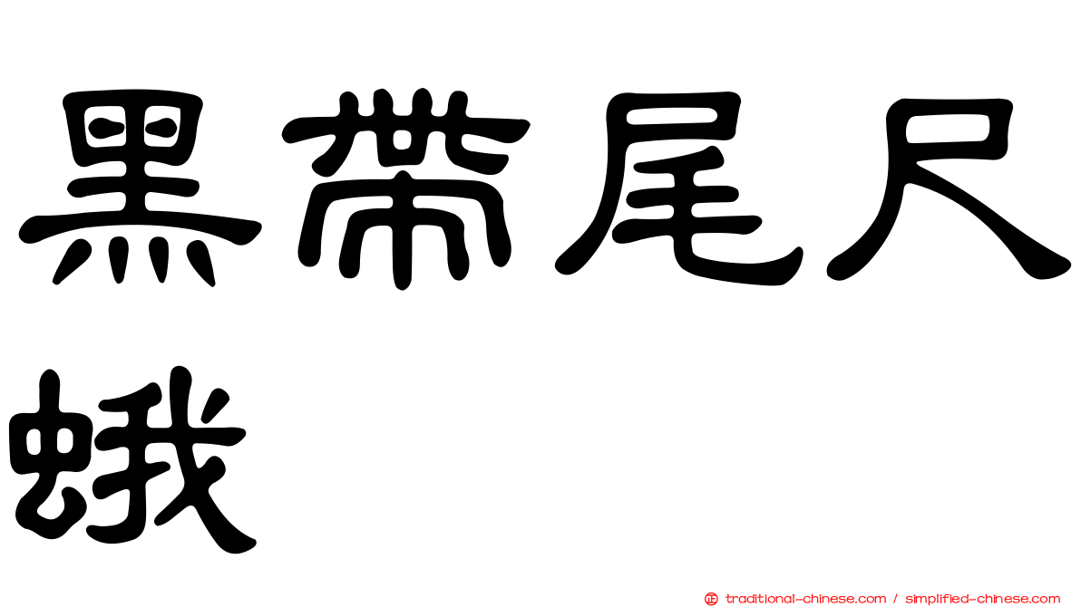 黑帶尾尺蛾