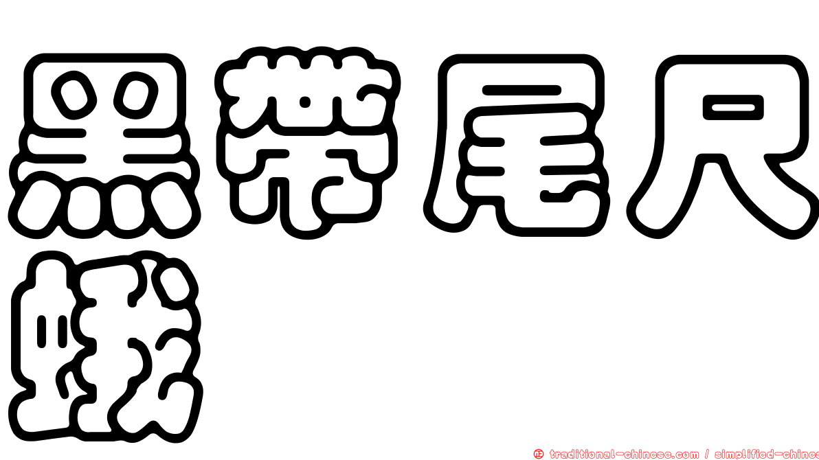 黑帶尾尺蛾