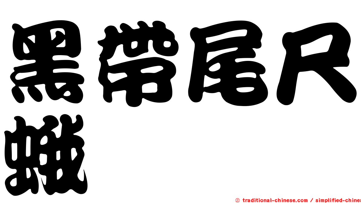 黑帶尾尺蛾