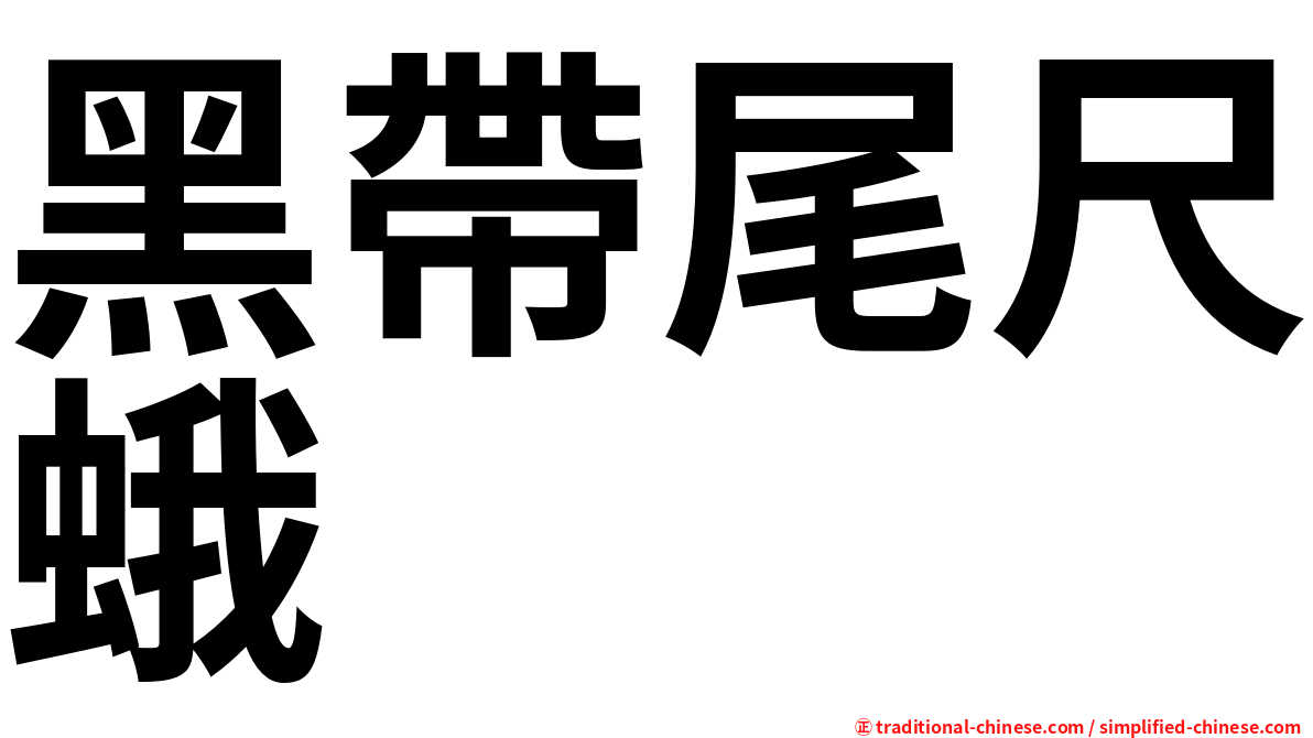 黑帶尾尺蛾