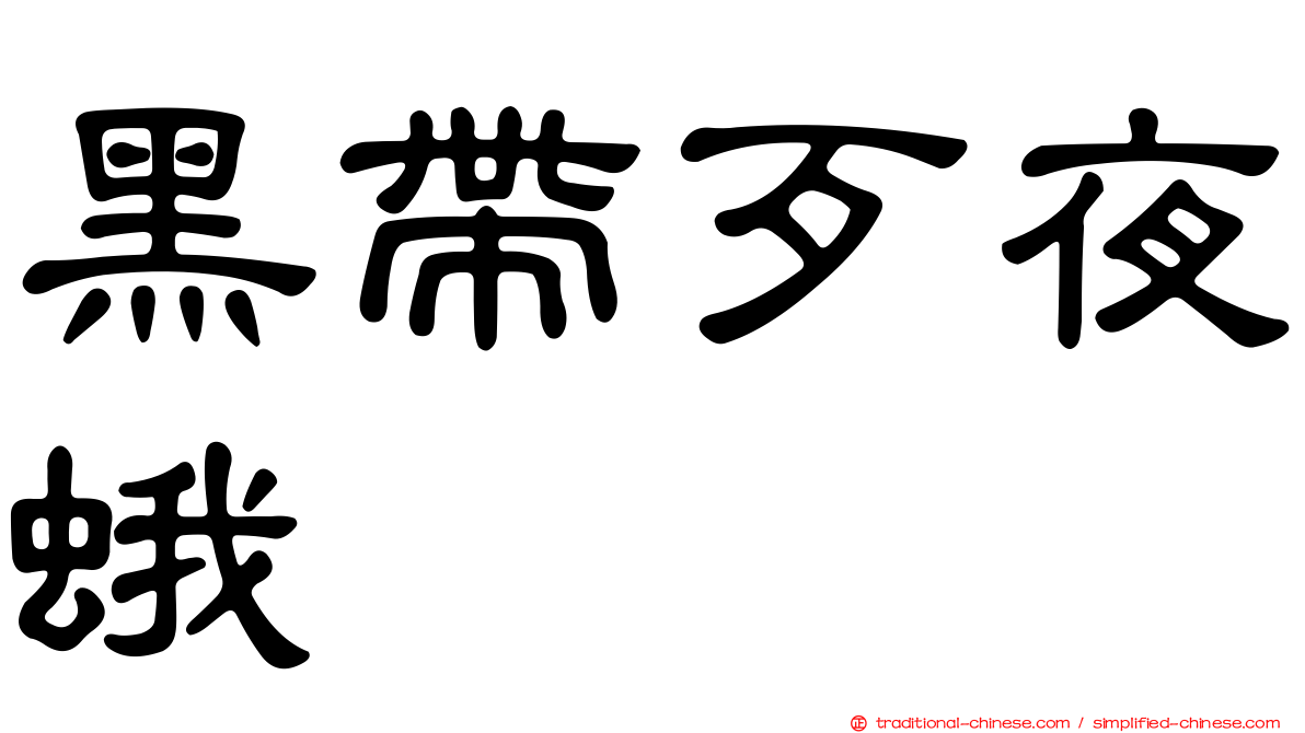 黑帶歹夜蛾