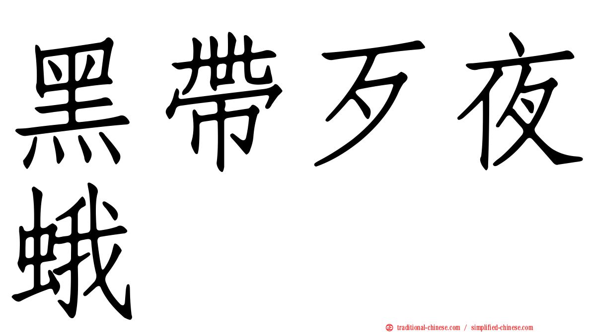 黑帶歹夜蛾
